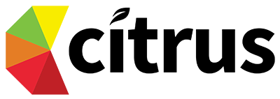 Professional Services Client Logo